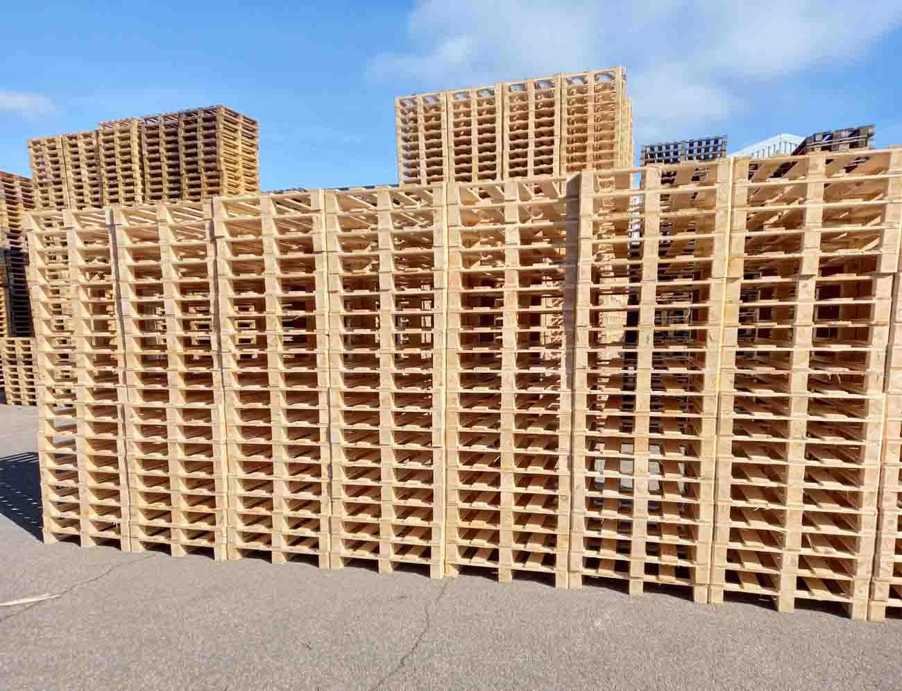 photo palettes neuves sur mesure lg angles coupés